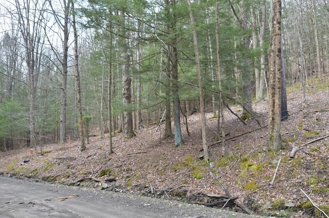 4235 Bellinger Hollow Rd, Hornby, NY 14830