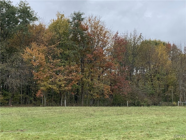 376 State Route 34, Hannibal, NY 13074 - view of yard featuring a view of trees