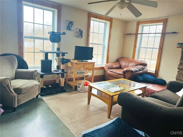 210 Mount Pleasant Rd, Dryden, NY 14850 - photo 14