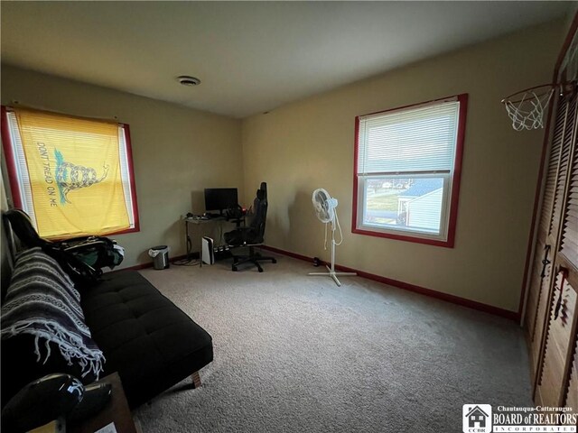 1959 Riverview Dr, Willing, NY 14895 - photo 12