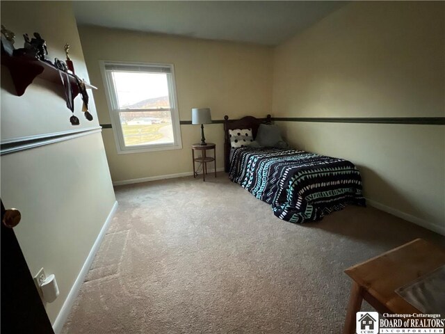 1959 Riverview Dr, Willing, NY 14895 - photo 13