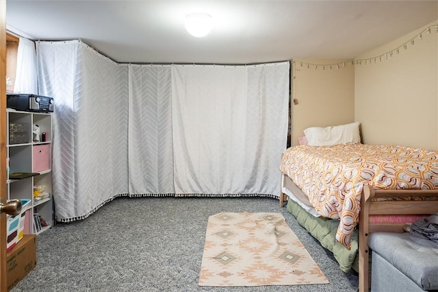 34 Inslee St, Waterloo, NY 13165 - photo 32