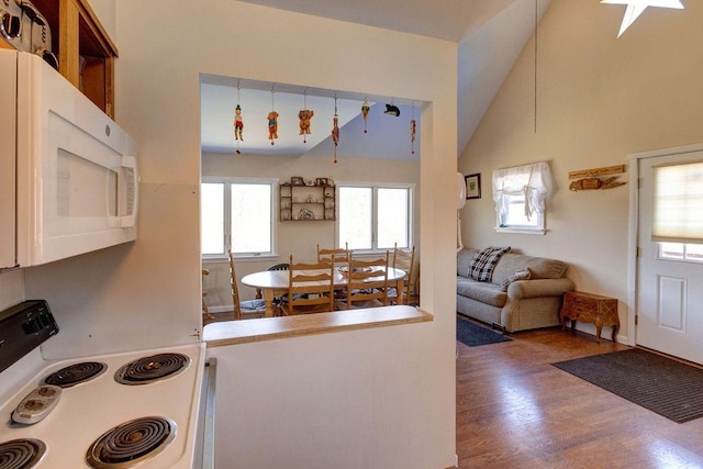 359 Squire Hill Rd, Roxbury, NY 12474 - kitchen with white appliances, vaulted ceiling, wood finished floors, and open floor plan