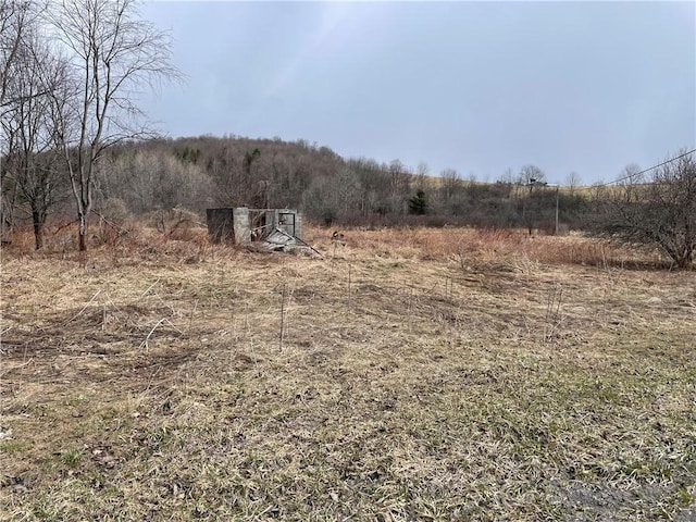 Listing photo 2 for LOT20.15 Lebanon Rd, Lebanon NY 13332