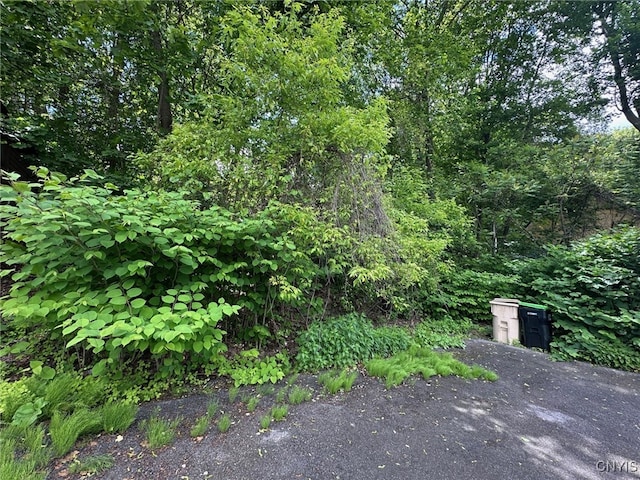 205 W Main St, German Flatts, NY 13357 - view of yard
