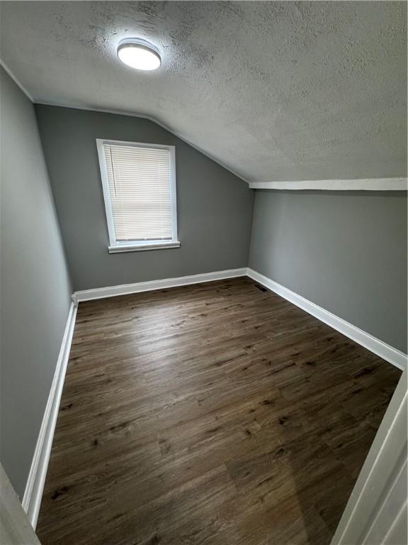 317 W State St, Albion, NY 14411 - additional living space with a textured ceiling, vaulted ceiling, and dark wood finished floors