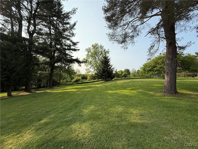 4062 Port St, Richland, NY 13142 - view of green lawn