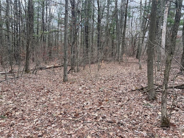 LOT-62.1 Welty Rd, Lindley, NY 14858 - photo 1
