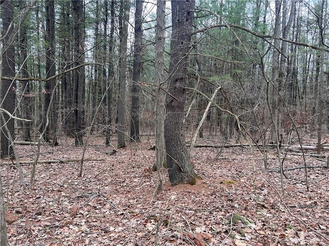 LOT-62.1 Welty Rd, Lindley, NY 14858 - photo 2
