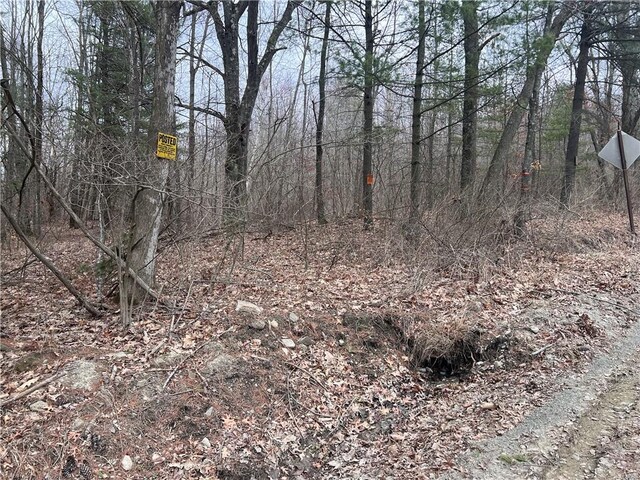 LOT-62.1 Welty Rd, Lindley, NY 14858 - photo 3