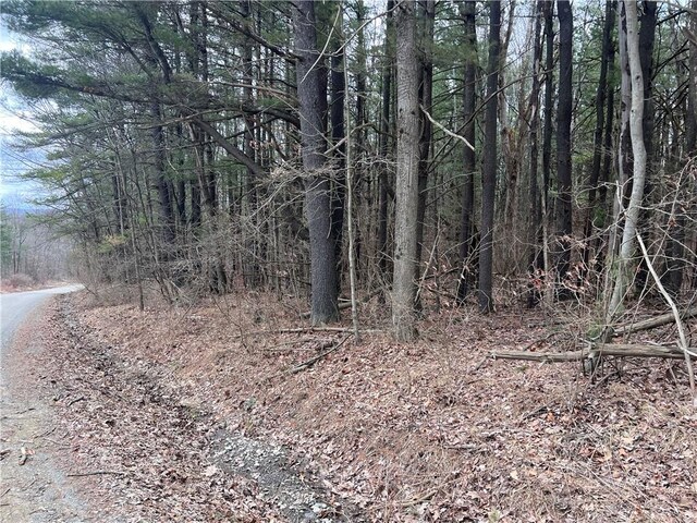 LOT-62.1 Welty Rd, Lindley, NY 14858 - photo 4