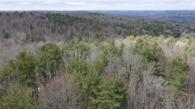 LOT-62.1 Welty Rd, Lindley, NY 14858 - photo 5