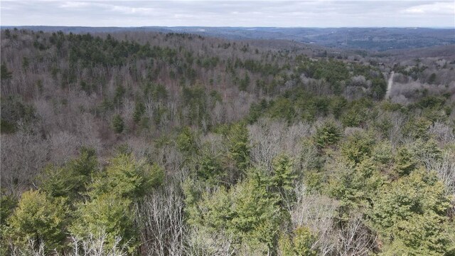 LOT-62.1 Welty Rd, Lindley, NY 14858 - photo 6