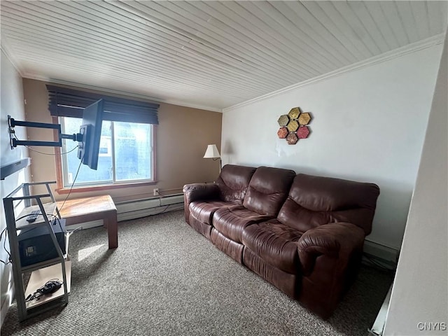 36 Lincoln Ave, Cortland, NY 13045 - carpeted living area with a baseboard radiator and crown molding