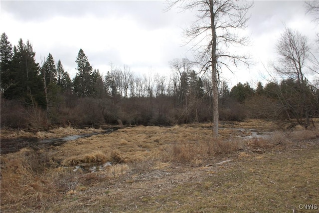 12314 County Route 5th Rd, Clayton, NY 13624 - photo 9