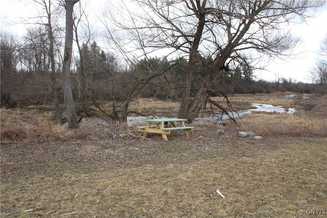 12314 County Route 5th Rd, Clayton, NY 13624 - photo 10