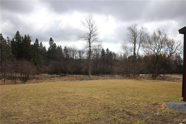12314 County Route 5th Rd, Clayton, NY 13624 - photo 11