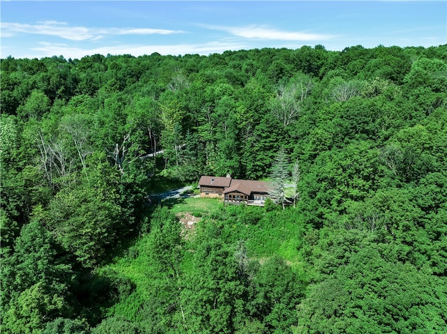 38 Woodchuck Rd, Roxbury, NY 12474 - birds eye view of property with a forest view