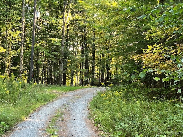 Hemlock Dr, Watson, NY 13367