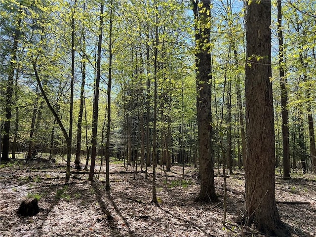 Hemlock Dr, Watson, NY 13367