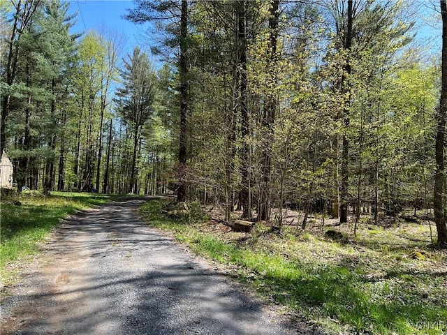 Hemlock Dr, Watson, NY 13367
