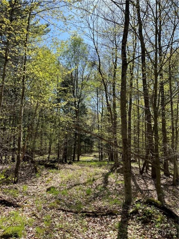 Hemlock Dr, Watson, NY 13367