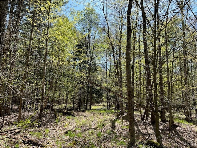 Hemlock Dr, Watson, NY 13367