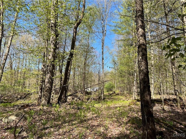 Hemlock Dr, Watson, NY 13367