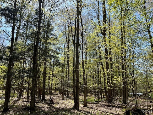 Hemlock Dr, Watson, NY 13367