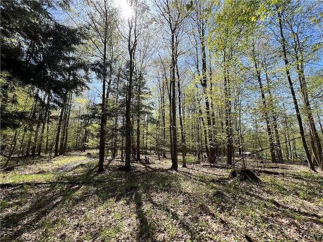 Hemlock Dr, Watson, NY 13367
