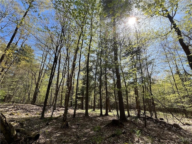 Hemlock Dr, Watson, NY 13367
