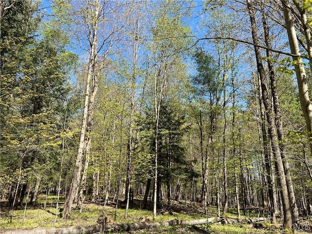 Hemlock Dr, Watson, NY 13367