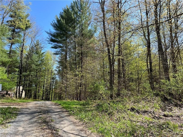 Hemlock Dr, Watson, NY 13367