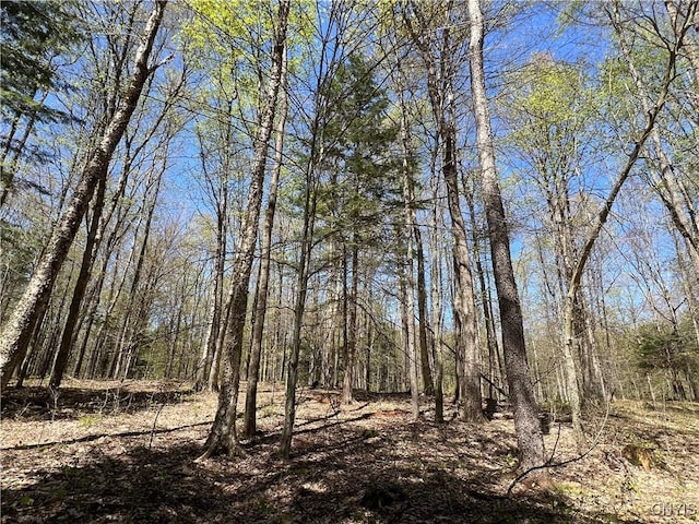 Cedar St, Watson, NY 13367
