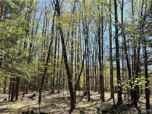 Cedar St, Watson, NY 13367