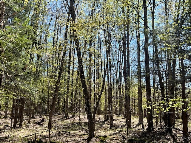 Cedar St, Watson, NY 13367