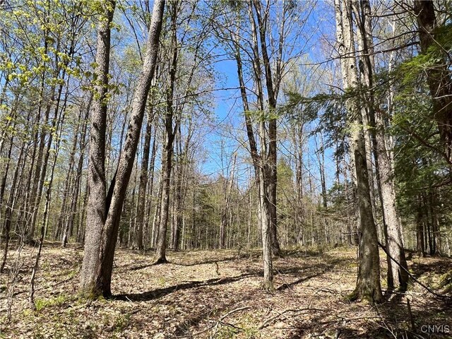 Cedar St, Watson, NY 13367