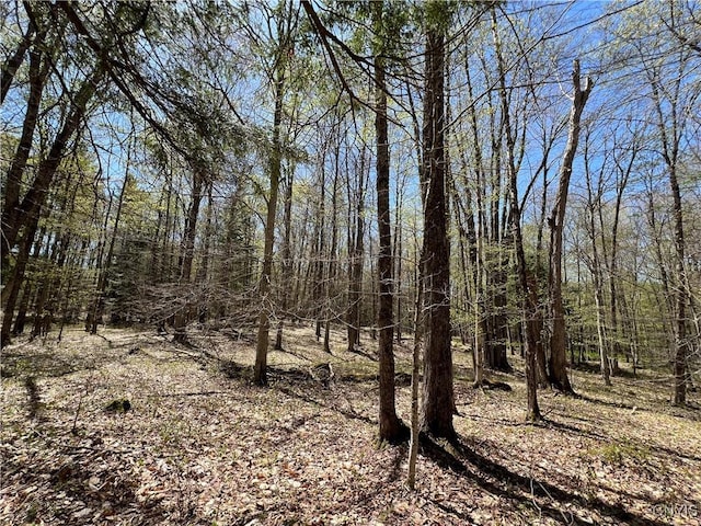 Cedar St, Watson, NY 13367