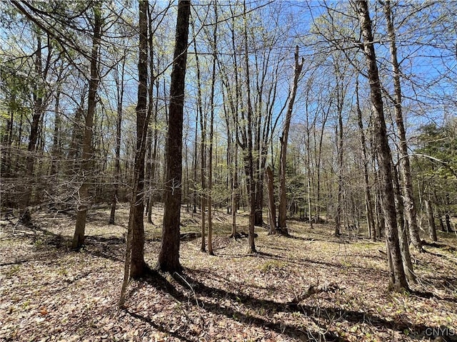 Cedar St, Watson, NY 13367