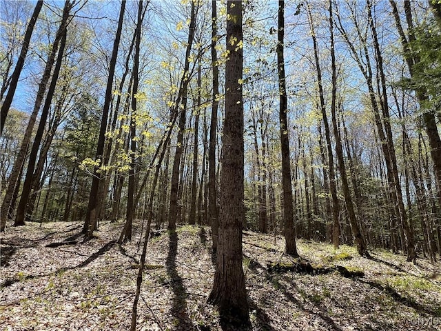 Cedar St, Watson, NY 13367