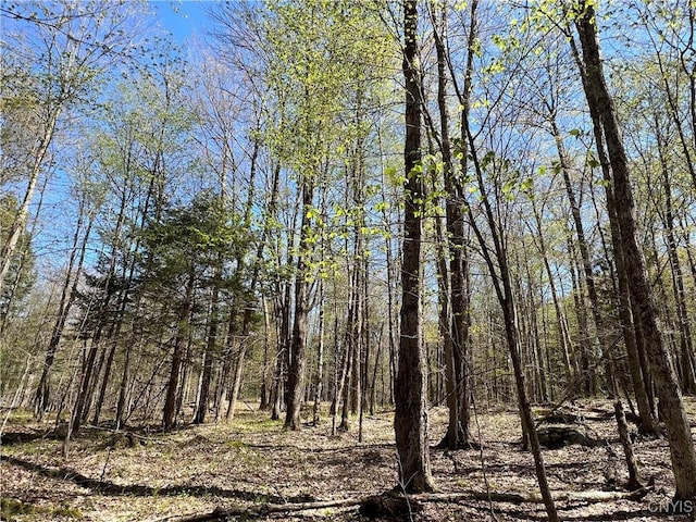 Cedar St, Watson, NY 13367