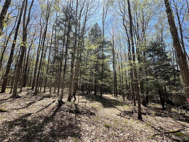 Cedar St, Watson, NY 13367