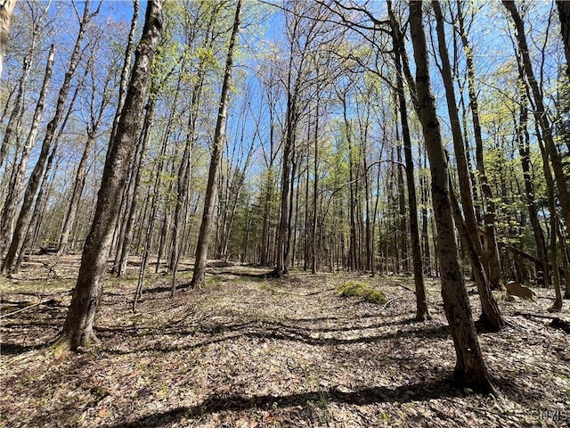 Cedar St, Watson, NY 13367