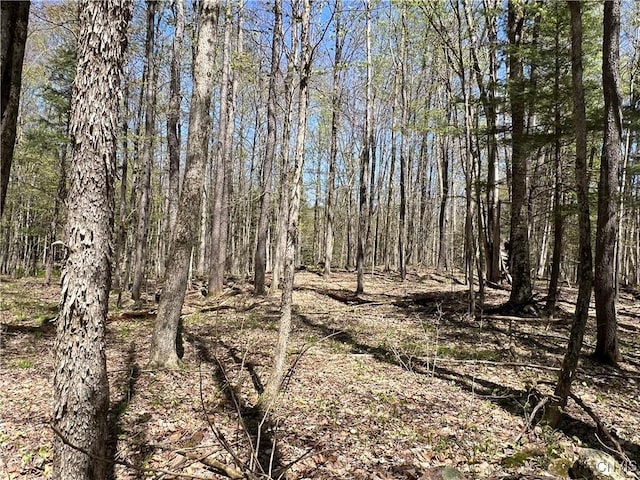 Cedar St, Watson, NY 13367
