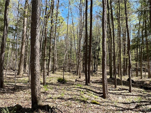 Cedar St, Watson, NY 13367