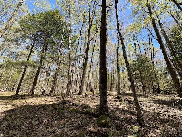 Cedar St, Watson, NY 13367