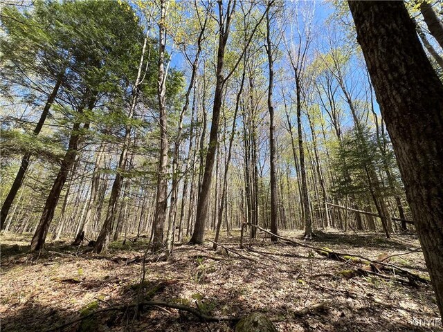 Cedar St, Watson, NY 13367