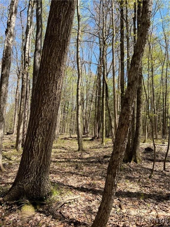 Cedar St, Watson, NY 13367