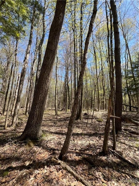 Cedar St, Watson, NY 13367