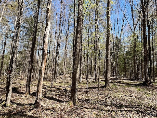 Cedar St, Watson, NY 13367